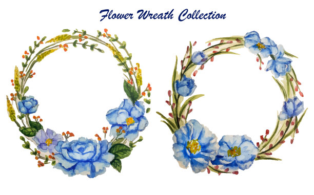 图形设置与四个美丽的花卉图片下载