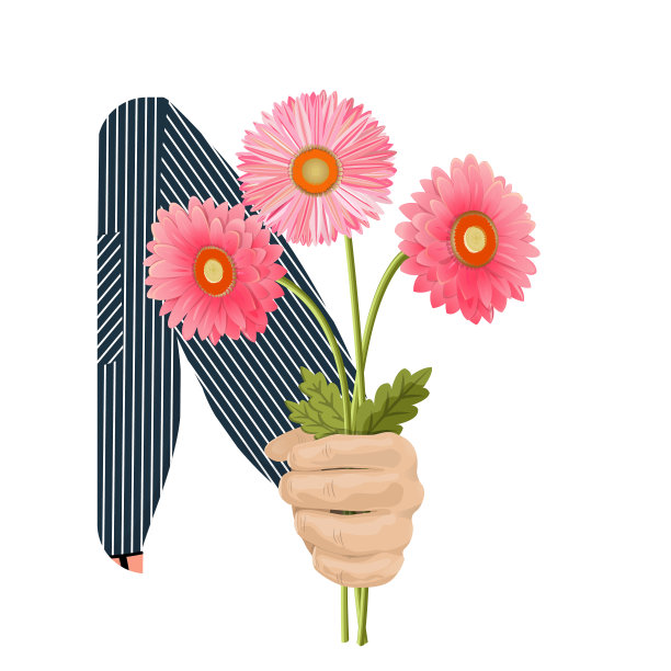 手里拿着粉红色的非洲菊图片下载