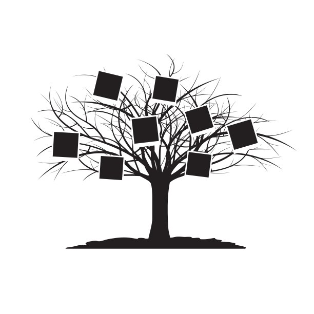 黑树与卡片图片下载