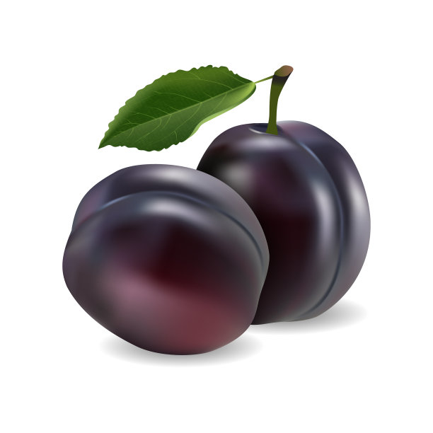 多汁的李子，美味的水果图片下载