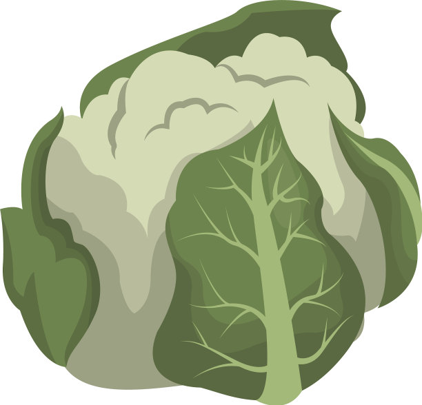 菜花蔬菜营养维生素食品图片下载