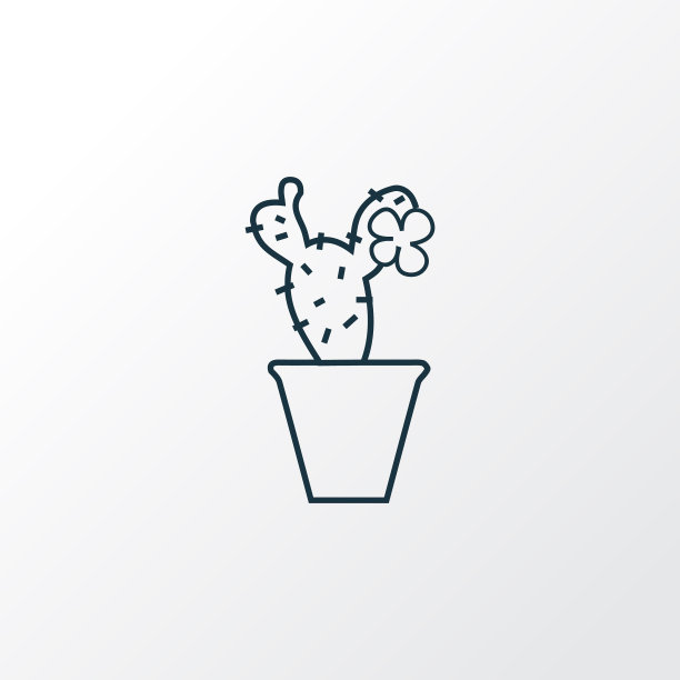 窗口植物图标线象征优质图片下载