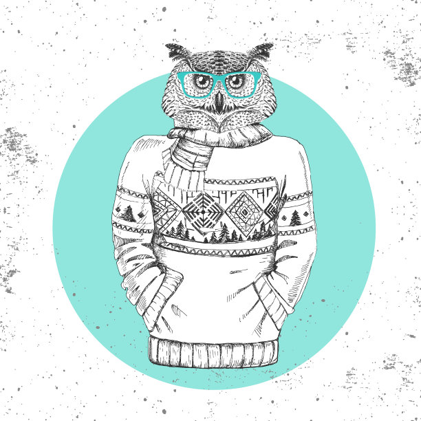复古潮鸟猫头鹰穿着套头毛衣图片下载