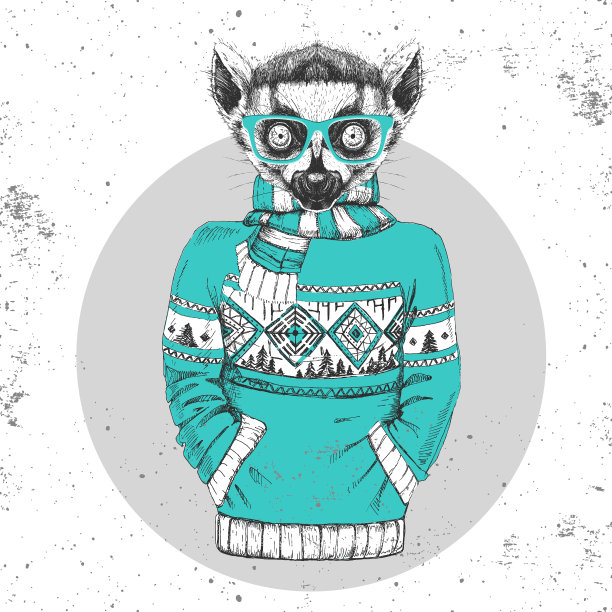 复古潮的动物狐猴穿着套头衫图片下载