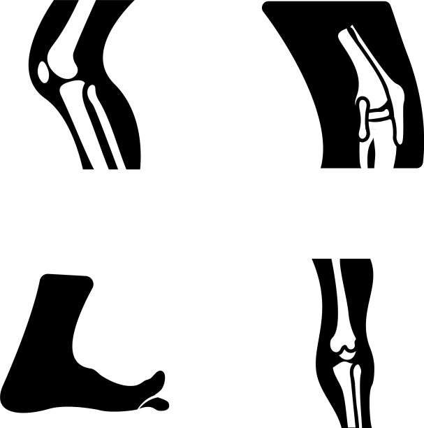 骨架和脊柱坚固图片下载