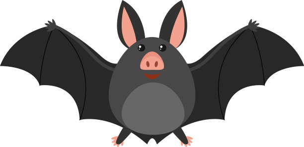 白色背景上的快乐蝙蝠图片下载
