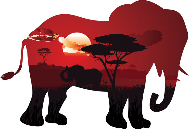 非洲大象日落图片下载