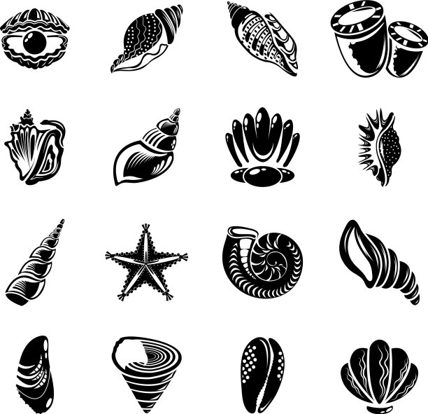 热带贝壳图标设置简单的风格图片下载