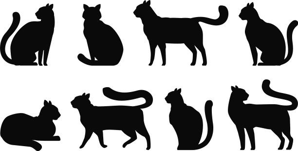 猫剪影设置图标宠物凯蒂猫图片下载