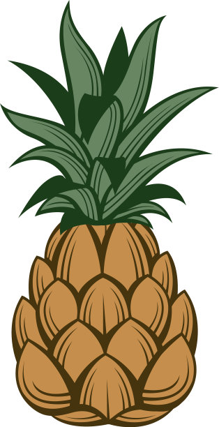 菠萝水果图片图片下载