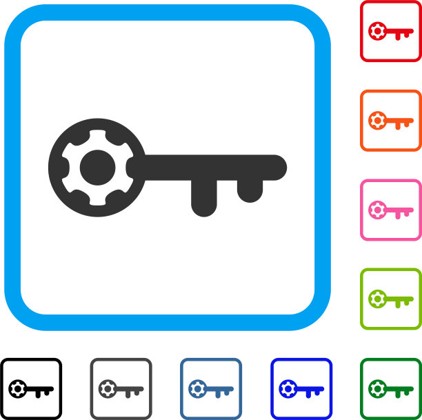 关键选项框架图标图片下载