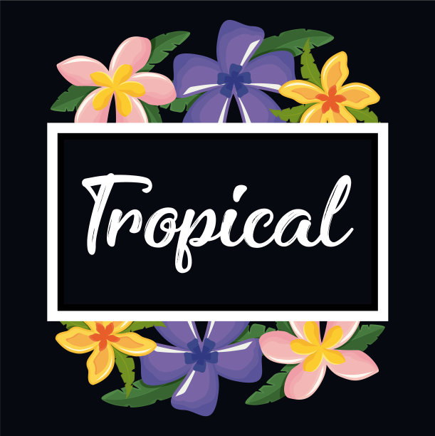 热带花卉的背景图片下载