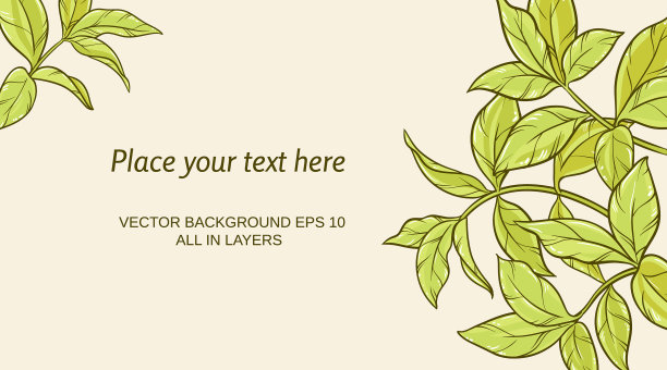 颜色背景上的绿茶叶子图片下载