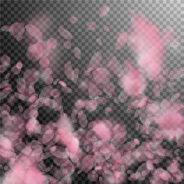 樱花花瓣飘落，浪漫的粉红色花朵图片下载