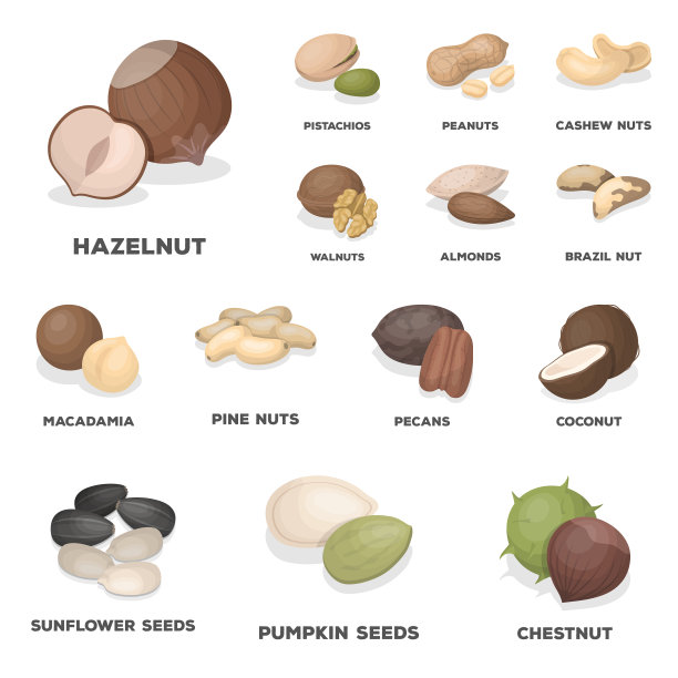 不同种类的坚果卡通图标设置图片下载