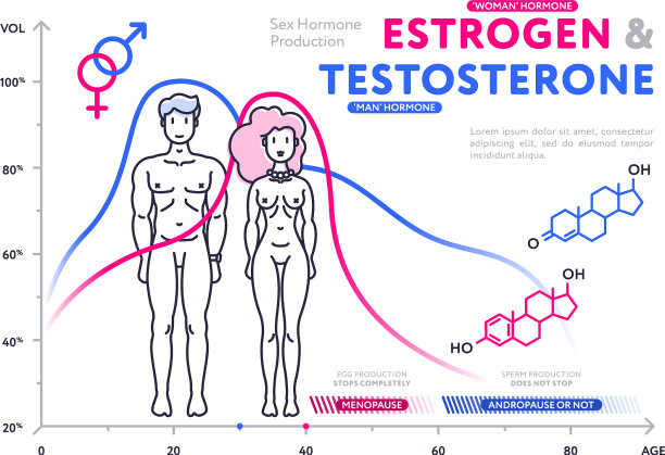 图表中男女激素的比较图片下载