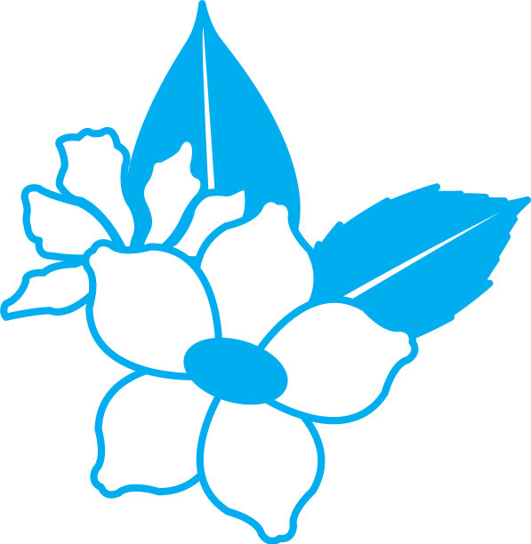 美丽的装饰花图片下载