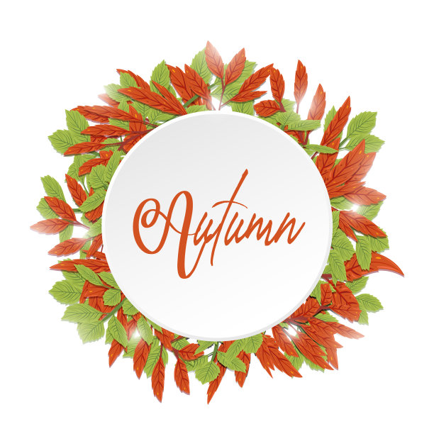 秋天的叶子红绿相间，有白色的圆图片下载