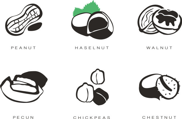 坚果和种子图标设置花生榛子核桃图片下载
