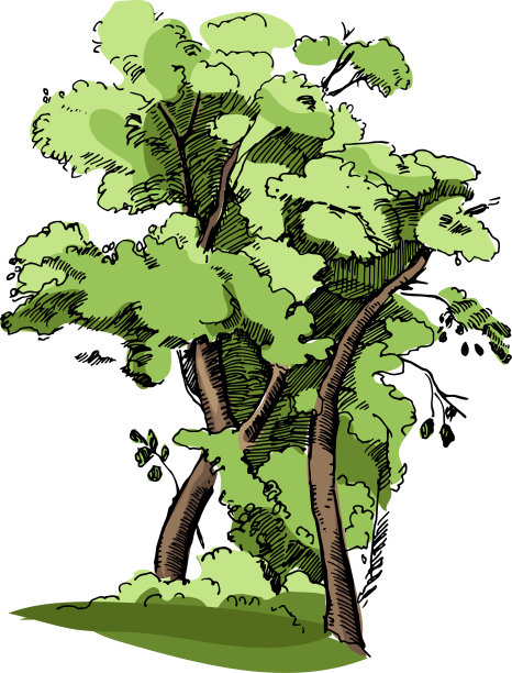 手绘的大色彩图片下载