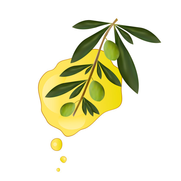 橄榄油图片下载
