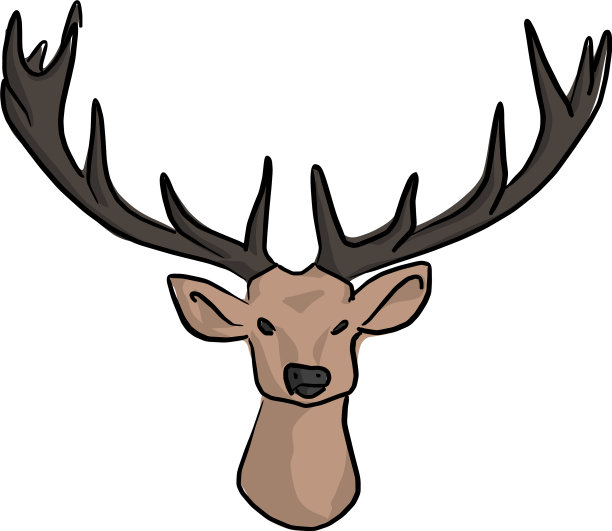 长着漂亮角的鹿头图片下载