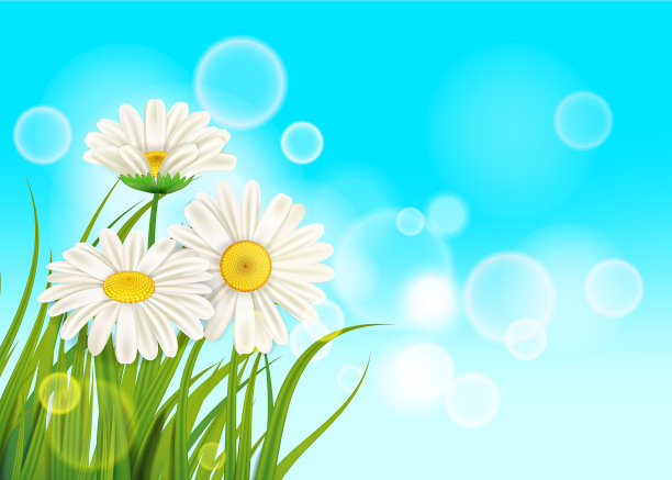 春天的雏菊背景是新鲜的绿草图片下载