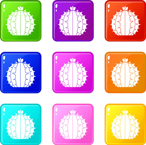 Lophophora仙人掌图标9集图片下载