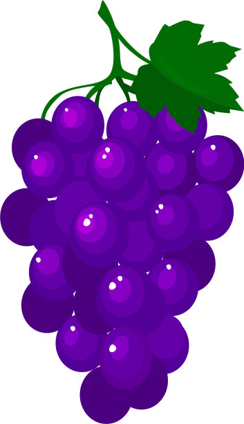 卡通新鲜葡萄孤立在白色背景图片下载