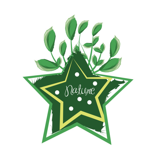 带有枝叶的星形图案图片下载