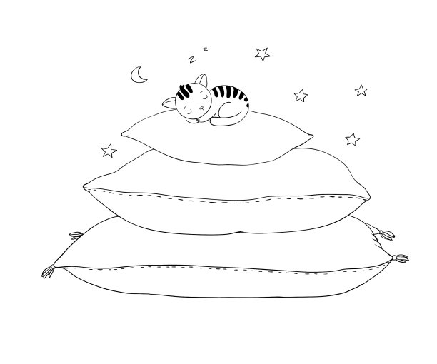 漂亮的枕头和可爱的猫图片下载