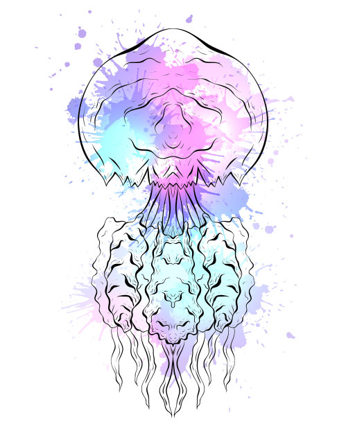 水母黑白轮廓图片下载