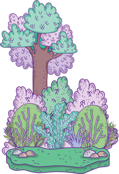 美丽的森林景观图片下载