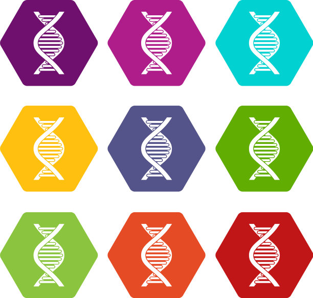 DNA链图标设置颜色六面体图片下载