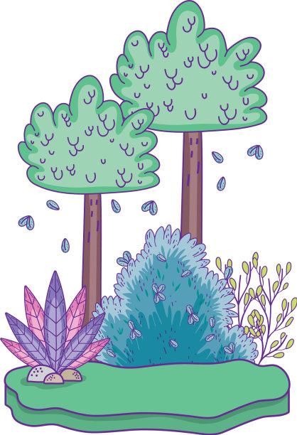 美丽的森林景观图片下载