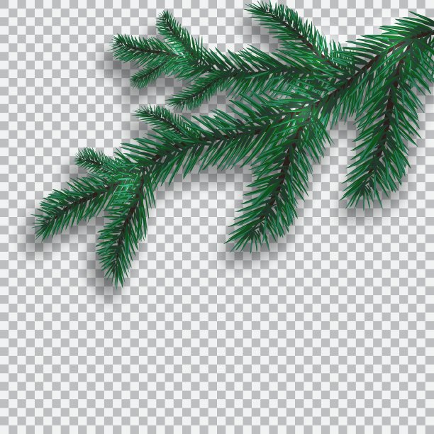 绿色蓝色逼真的树枝和它的影子图片下载