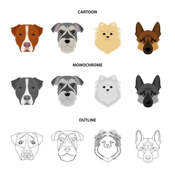 不同品种的狗的嘴图片下载