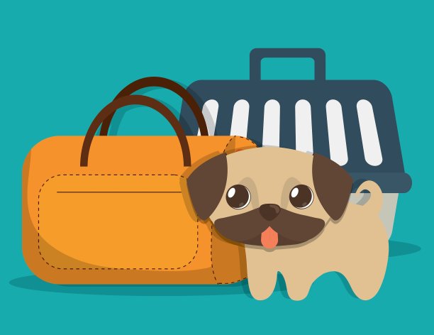 宠物图标图像图片下载