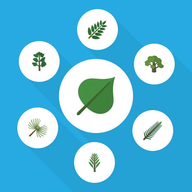 平坦的图标自然设置金合欢叶树云杉图片下载