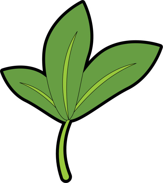 叶子植物孤立图标图片下载