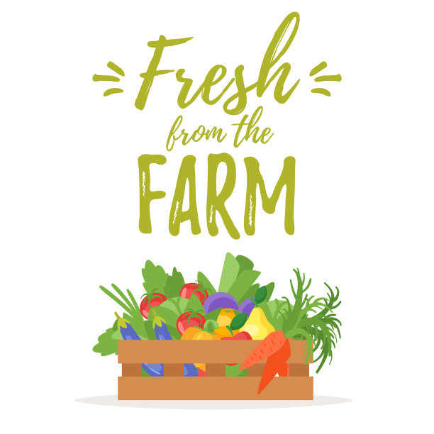 装有有机蔬菜的木箱图片下载