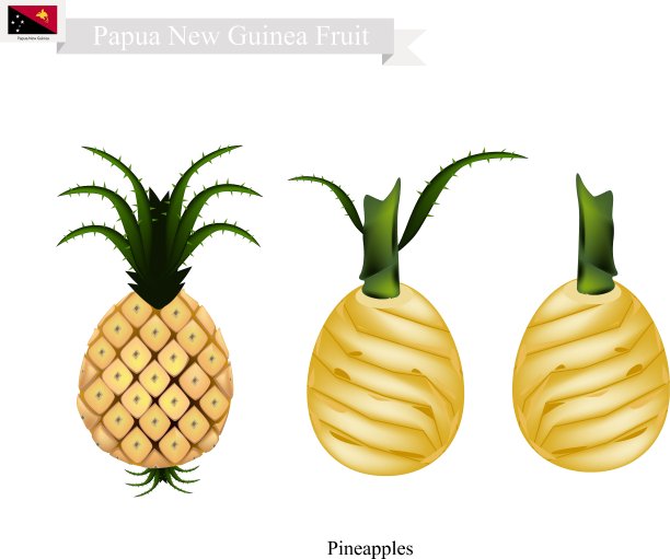 菠萝是巴布亚新几内亚的一种著名水果图片下载