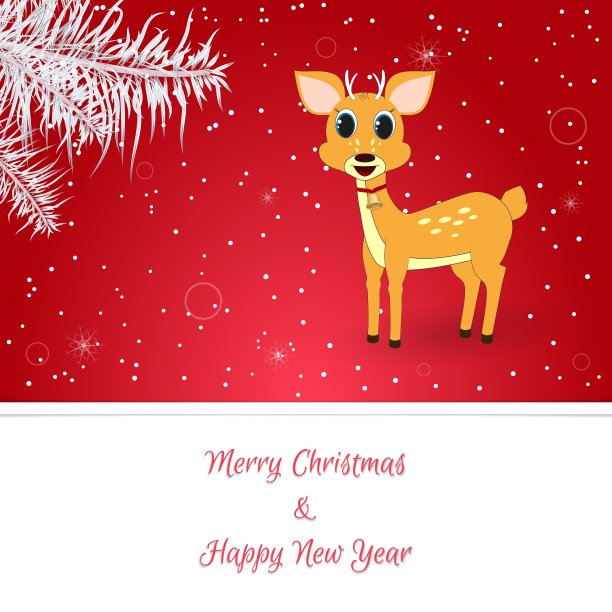 白色云杉上挂着红色的圣诞卡片图片下载