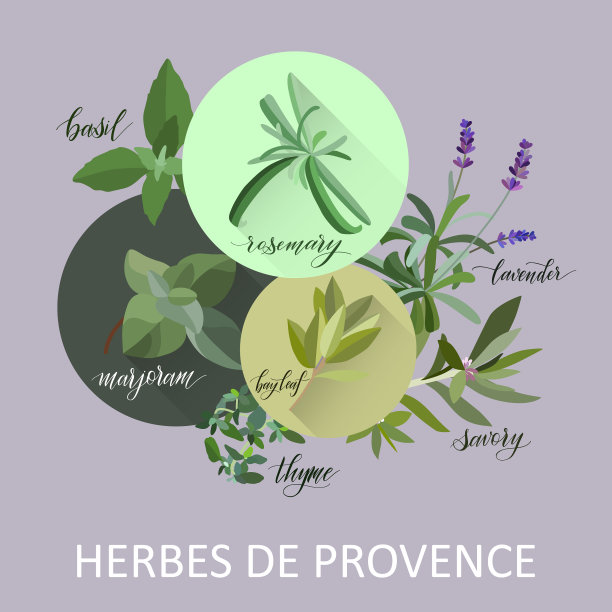 受欢迎的烹饪药草图片下载