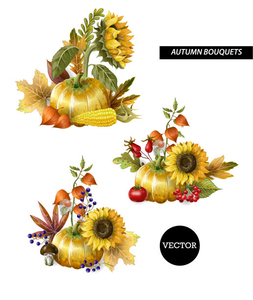 秋叶结满了果实图片下载