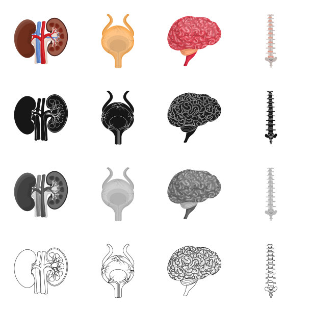 隔离对象的身体和人体标志收集图片下载