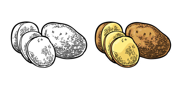 土豆整片和切片雕刻古董图片下载