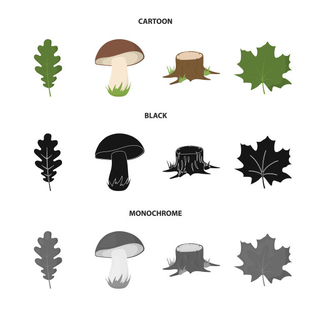 橡树叶蘑菇树桩枫树造林设置图片下载