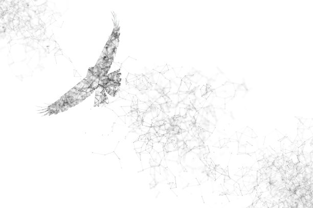 粒子，几何艺术，线和点的鸟飞行抽象插图。图片下载