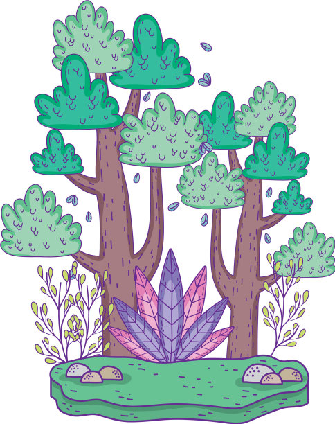 美丽的森林景观图片下载